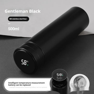 Swappable Batteries Black